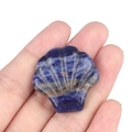 Sculpture de coquillage en pierre naturelle sodalite bleue polie tenue en main - Sodalite bleue