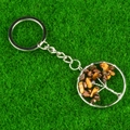 Tiger Eye stone Tree of Life keychain with silver wire wrap on artificial grass background - Tiger's Eye