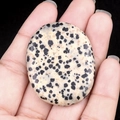 Handheld polished dalmatian stone worry stone with natural black spots and smooth finish - Dalmatian Jasper