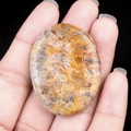 Hand holding polished oval worry stone with natural yellow and orange marble textures - Crazy Agate