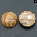 Polished round natural gemstone cabochon with brown wood grain patterns for DIY jewelry - Jasper