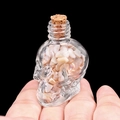 Miniature skull glass bottle with natural white and pink shell stones held in hand - Shell