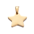 Star shaped golden stainless steel pet tag with polished finish and large pendant bail - Gold