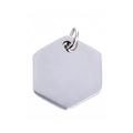 Colgante hexagonal de acero inoxidable plateado para mascotas con anillo dividido - Color acero