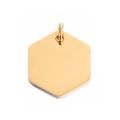 Colgante hexagonal minimalista de acero inoxidable dorado para mascotas - Dorado