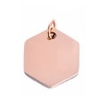 Chapa hexagonal para mascotas de acero inoxidable pulido en color oro rosa - Rosa oro