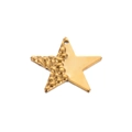 Star-shaped golden stainless steel pendant with textured and polished dual finish - Pentagram / Gold