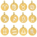 Set of 12 hollowed-out golden zodiac coin pendants in stainless steel for jewelry making - Gold