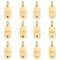 Set mit 12 goldenen Edelstahl-Geburtssteinanhängern mit Monat Gravuren für DIY - Komplettes Set (Full Set 12pcs)