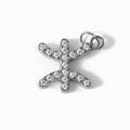 Vue macro du pendentif zodiaque argenté avec diamants CNC et symboles berbères amazighs - Poissons-Argent