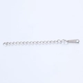 Macro view of silver stainless steel extender chain with S.STEEL engraved droplet charm - Steel