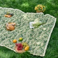 Outdoor green floral picnic mat with white tassels and fruits on grass field - 60x60 / Green Wildflower + Dense Tassels