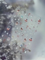 Holographic New Year nail art stickers with Christmas trees and snowflakes YT7403 - Bronzing Starlight Style (YT7403Pro)