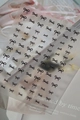 Detailed view of YT8300 black bow embossed nail stickers for elegant DIY manicure - Black Line Bowknot (YT8300)