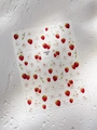 Detail van 3D-nagelstickers met patronen van rode aardbeien en witte bloemen voor nagels - Gelee Aardbei Bloem (YT6263Gd)