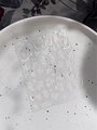 White floral embossed nail art stickers with YT4915 glitter flower designs - White Floral (YT4915)