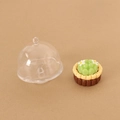 Miniature succulent tart model with a transparent dome lid for dollhouse decoration - Food Cover with Style 8 Cake