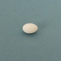Miniature dollhouse white resin egg model with smooth matte finish for creative scenes - White Shell Egg