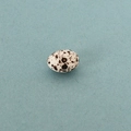 Miniature dollhouse quail egg model with realistic brown spots on a blue textured base - Speckled Egg