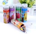 Set de 12 lápices de colores en tubo floral con sacapuntas incorporado - Patrón Floral (Con Sacapuntas) / Juego de 12 colores