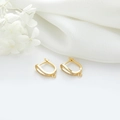 Détail de boucles d'oreilles créoles plaquées or 14k avec micro-pavé de zircon - Style Double Rangée de Zircon (H-7869)