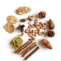 Ensemble de pommes de pin, glands, feuilles et disques de bois pour décoration DIY - Sac de Matériel de Forêt 2