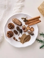 Détails de pommes de pin et glands naturels pour décoration de maison automnale - Sac de Matériel de Cannelle de Forêt 3