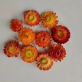 Detail van gedroogde strobloemen in hartvorm voor DIY handwerk en decoratie - Standaard Pakket / Oranjerood