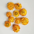 Macro-opname van gedroogde strobloemen met geel-oranje verloop voor doe-het-zelf projecten - Standaard Pakket / Geel
