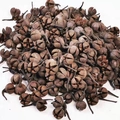 Natürliche getrocknete Lotus-Nuss-Kapseln und Holzfrüchte für DIY-Blumenarrangements in Braun - Kreuzfrucht 500g