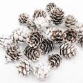 Pommes de pin naturelles 1,5-4 cm avec effet neige pour décorations de Noël DIY - 1.5-2cm / Blanc