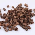 Mini piñas naturales secas para manualidades DIY y decoración navideña rústica - 1kg