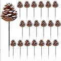 Pigne natalizie con neve artificiale su stelo per ghirlande e decorazioni floreali invernali - Bianco Spazzolato / 3-4cm