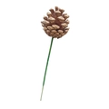 Pigna naturale essiccata con gambo in filo verde per ghirlande natalizie e composizioni fiori - Colore Originale / 4-5cm