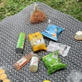 Tapis de pique-nique portable à chevrons gris et blanc sur pelouse pour camping - Flèche Grise