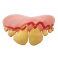 Funny dog dentures prop for Halloween with realistic yellowed teeth and red gum detail - Buck Teeth Style