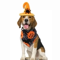 Ensemble Halloween pour animaux avec chapeau de sorcier et bandana citrouille - Chapeau Araignée + Bandana Noir