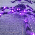Halloween-Riesenspinne, schwarz und behaart, mit lila LED-Lichtern für gruselige Partys - Groß / Lila Schwarz
