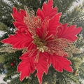 Flor de pascua roja festiva con bordes dorados brillantes y detalles de malla de adorno - Oro Rosa Rojo