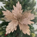 Close-up of champagne gold mesh Christmas flower with glitter on a green pine tree branch - Champagne