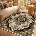 Tapis de salon style persan avec médaillon central sur parquet en point de Hongrie - Mini / Médaillon Marron Beige