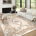 Alfombra persa bohemia con motivos florales barrocos claros para salón y dormitorio - 50x80cm / Serie Nafiye 4