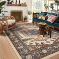 Vintage Persian area rug with geometric floral patterns in a cozy bright living room - 50*80cm / Style 1