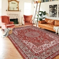 Tappeto vintage rosso mattone stile persiano con motivi bohémien per soggiorno - 50x80cm / Stile Mishaer 2