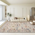 Top view of a Persian floral area rug with vintage patterns in a bright modern living room - BSoo5 Pattern