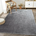 Tapis de salon gris moderne et minimaliste avec texture tissée et bordure surjetée - Gris Anthracite / 40*60cm