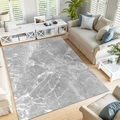 Light gray rectangular rug with white marble texture in a modern living room setting - 40x60cm / Light Gray Marble