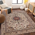 Detail of Persian style rug with central medallion pattern in a sunlit living room - 40*60cm (Faux Cashmere Fabric) / Light Beige Medallion Style (BBS-2)
