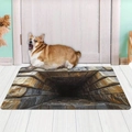 Detailed view of 3D visual stone tunnel entrance mat on white wooden floor with a corgi dog - 40x60cm (Diatomite) / SYT Visual Design 4
