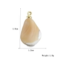 Vue macro du pendentif en coquillage avec boucle dorée montrant taille 1,8cm x 1,2cm et poids 1,8g - Pendentif Coquille Goutte Naturel (12)